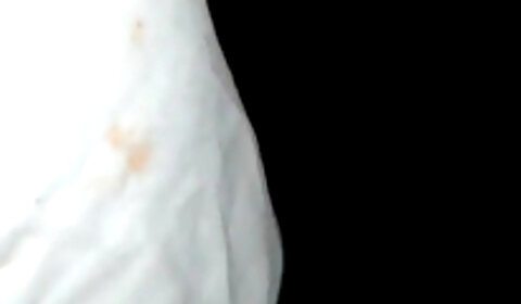 Www xnxx coe Watch this Indian teen ashu get fucked hard in the dark by two strangers stomach noises porn hub